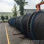 架空電纜與高壓架空線 市場行情、優質廠家與產品圖鑒